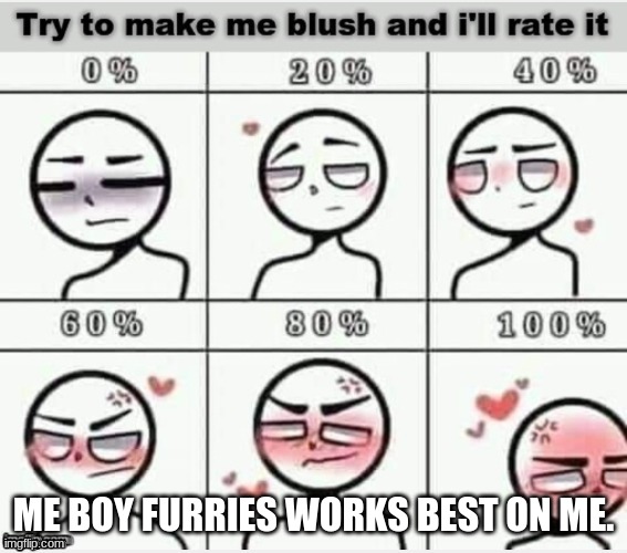 Blush | ME BOY FURRIES WORKS BEST ON ME. | image tagged in blush | made w/ Imgflip meme maker