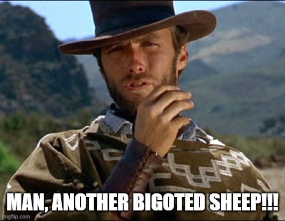 Man with no name | MAN, ANOTHER BIGOTED SHEEP!!! | image tagged in man with no name | made w/ Imgflip meme maker