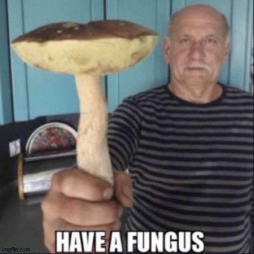 have a fungus | image tagged in have a fungus | made w/ Imgflip meme maker