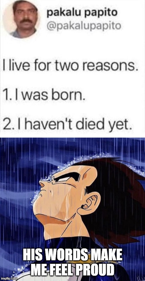 i am proud | HIS WORDS MAKE ME FEEL PROUD | image tagged in vegeta in the rain | made w/ Imgflip meme maker
