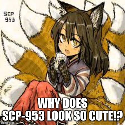 REALLY WHY? | WHY DOES SCP-953 LOOK SO CUTE!? | made w/ Imgflip meme maker