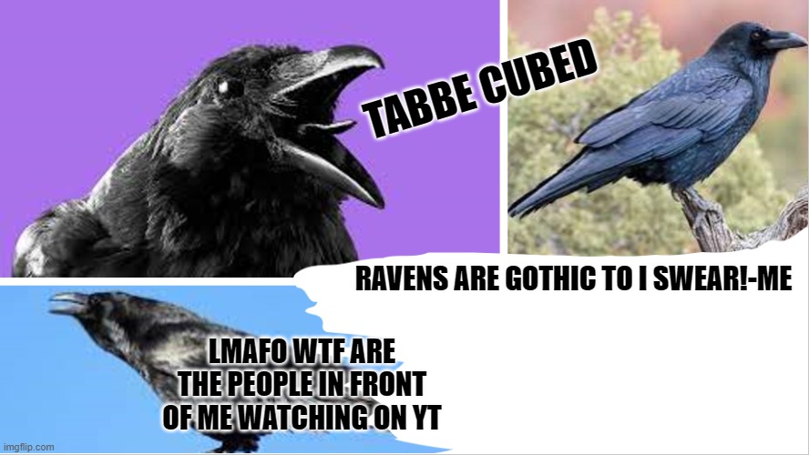 ITS ALL WEIRD AND master cheif? | LMAFO WTF ARE THE PEOPLE IN FRONT OF ME WATCHING ON YT | image tagged in my raven temp ha | made w/ Imgflip meme maker