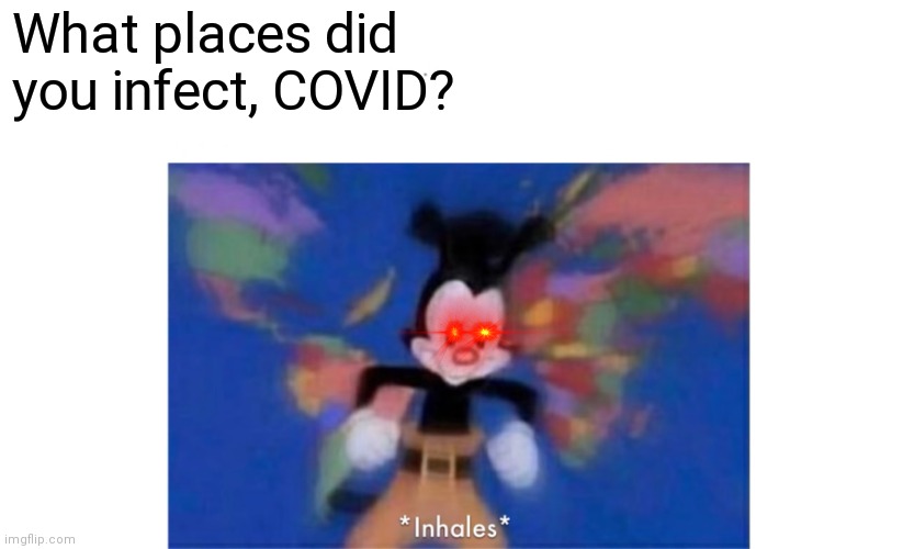 World occupied | What places did you infect, COVID? | image tagged in world occupied | made w/ Imgflip meme maker