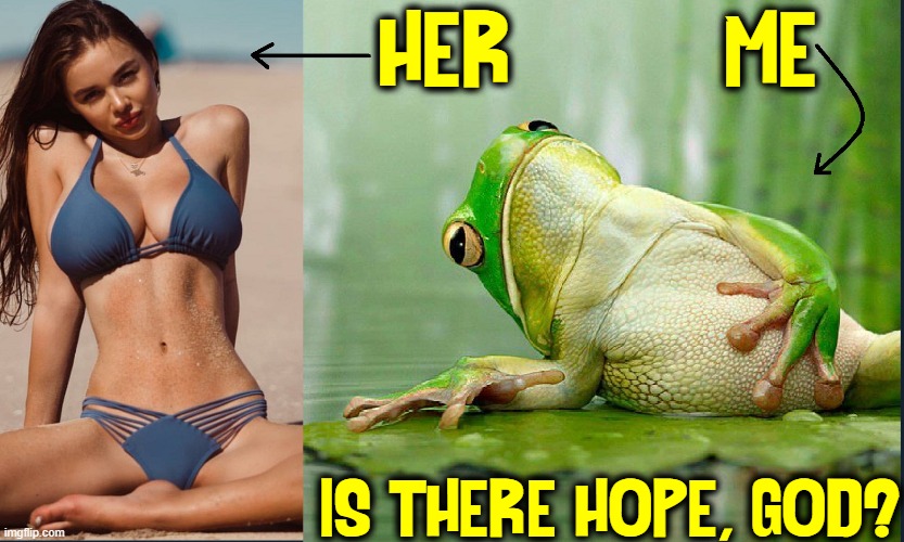 I have a few regrets: I'm a frog, I'm green & truthfully, ready to croak | HER         ME; IS THERE HOPE, GOD? | image tagged in vince vance,frogs,memes,hopeless,foul bachelor frog,the perfect girl | made w/ Imgflip meme maker