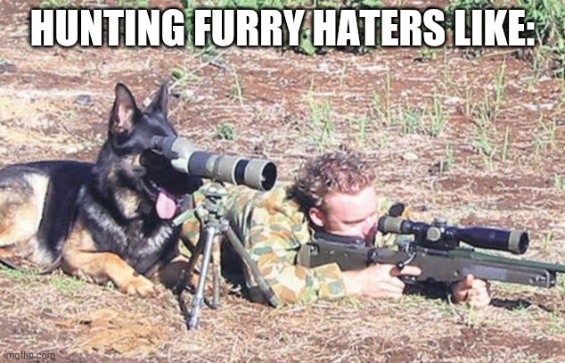 Consider everyone in this stream banned from the Furries stream. Have a great day | HUNTING FURRY HATERS LIKE: | image tagged in sniper dog | made w/ Imgflip meme maker
