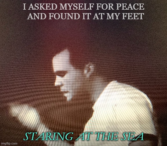 A Dream of You and Me | I ASKED MYSELF FOR PEACE   AND FOUND IT AT MY FEET; STARING AT THE SEA | image tagged in future islands,a dream of you and me,singles,hemlock ernst | made w/ Imgflip meme maker