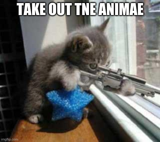 CatSniper | TAKE OUT TNE ANIMAE | image tagged in catsniper | made w/ Imgflip meme maker