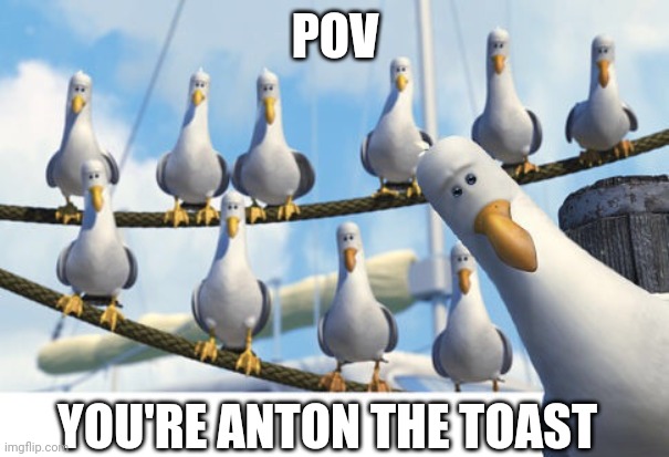 What is like to be Anton | POV; YOU'RE ANTON THE TOAST | image tagged in finding nemo seagulls,pov,tawog,the amazing world of gumball,gumball anton,anton the toast | made w/ Imgflip meme maker