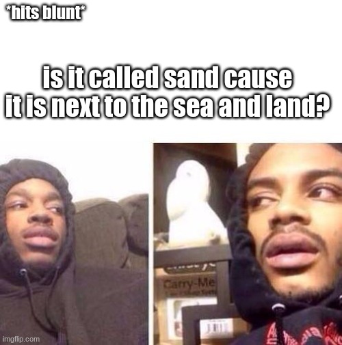 Hits Blunt | *hits blunt*; is it called sand cause it is next to the sea and land? | image tagged in hits blunt | made w/ Imgflip meme maker
