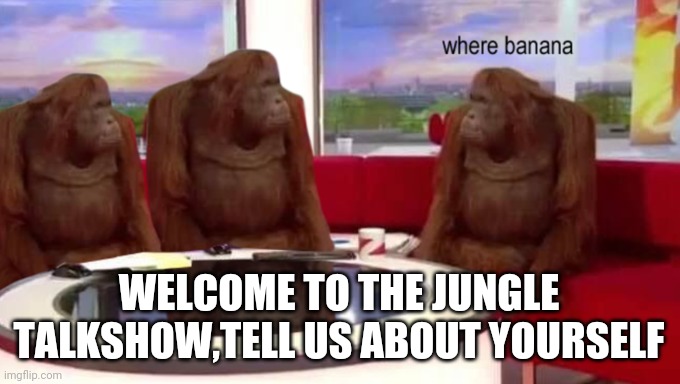 where banana | WELCOME TO THE JUNGLE TALKSHOW,TELL US ABOUT YOURSELF | image tagged in where banana | made w/ Imgflip meme maker