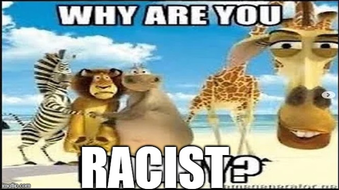 why are you horny | RACIST | image tagged in why are you horny | made w/ Imgflip meme maker