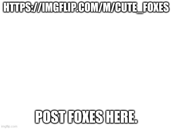 https://imgflip.com/m/cute_foxes | HTTPS://IMGFLIP.COM/M/CUTE_FOXES; POST FOXES HERE. | image tagged in blank white template | made w/ Imgflip meme maker