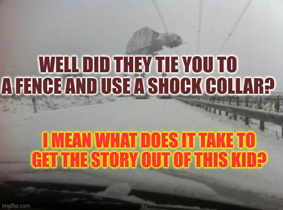 lalalalalalalalalala | WELL DID THEY TIE YOU TO A FENCE AND USE A SHOCK COLLAR? I MEAN WHAT DOES IT TAKE TO GET THE STORY OUT OF THIS KID? | image tagged in meanwhile in idaho | made w/ Imgflip meme maker