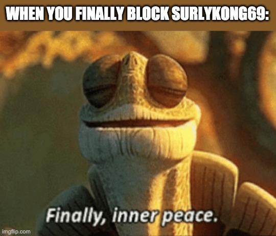 Now my notifications won't be filled with unintelligible gibberish. Too much of my time has been wasted on acknowledging him. | WHEN YOU FINALLY BLOCK SURLYKONG69: | made w/ Imgflip meme maker