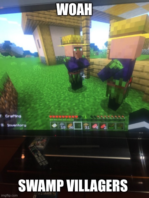 WOAH; SWAMP VILLAGERS | made w/ Imgflip meme maker