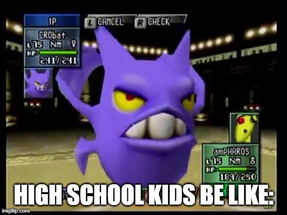 Very very very weird and awkward | HIGH SCHOOL KIDS BE LIKE: | image tagged in pokemon stadium 2 crobat,school | made w/ Imgflip meme maker