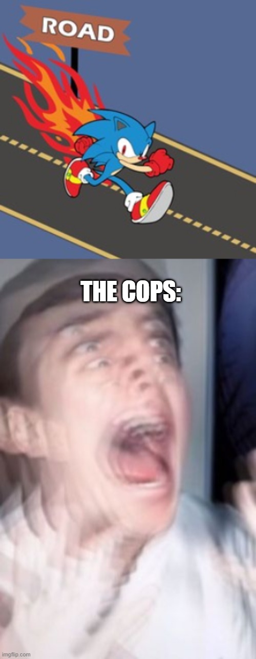 THE COPS: | image tagged in freaking out,sonic,sega,sonic the hedgehog,memes,cops | made w/ Imgflip meme maker