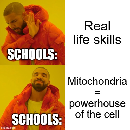 Real life skills Mitochondria = powerhouse of the cell SCHOOLS: SCHOOLS: | image tagged in memes,drake hotline bling | made w/ Imgflip meme maker