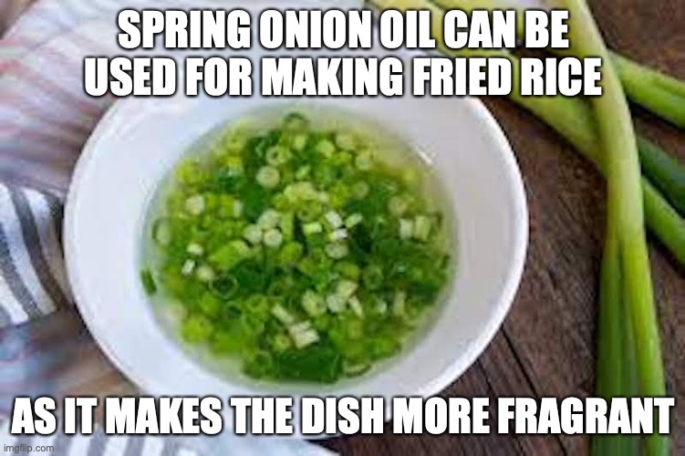 Spring Onion Oil | SPRING ONION OIL CAN BE USED FOR MAKING FRIED RICE; AS IT MAKES THE DISH MORE FRAGRANT | image tagged in memes,food | made w/ Imgflip meme maker