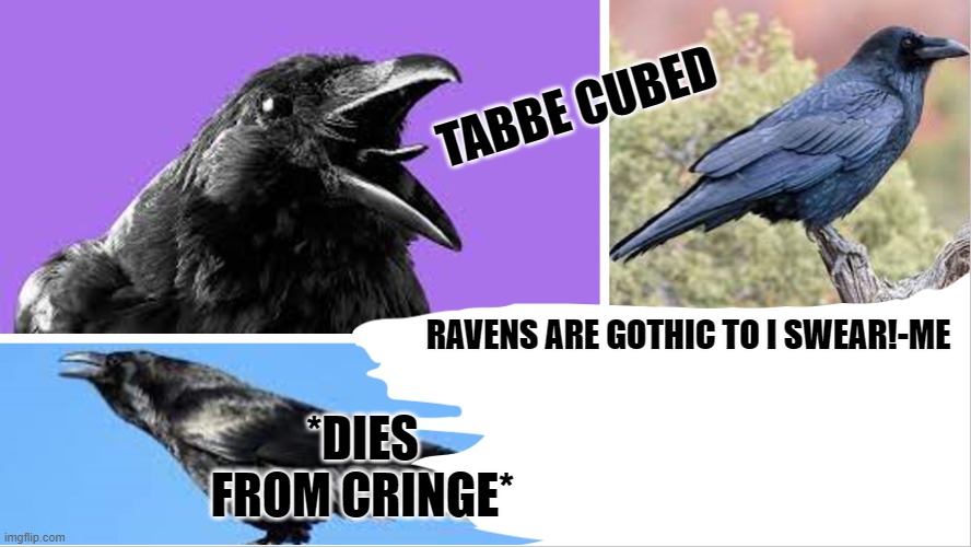 ddear person below stfu | *DIES FROM CRINGE* | image tagged in my raven temp ha | made w/ Imgflip meme maker