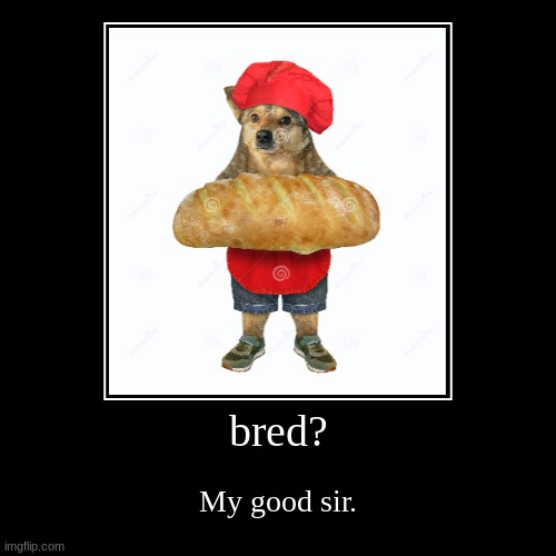 bred? | image tagged in funny,demotivationals | made w/ Imgflip demotivational maker