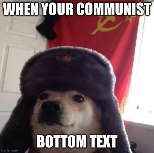 Russian Doge | WHEN YOUR COMMUNIST; BOTTOM TEXT | image tagged in russian doge | made w/ Imgflip meme maker