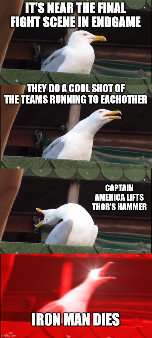 Inhaling Seagull Meme | IT'S NEAR THE FINAL FIGHT SCENE IN ENDGAME; THEY DO A COOL SHOT OF THE TEAMS RUNNING TO EACHOTHER; CAPTAIN AMERICA LIFTS THOR'S HAMMER; IRON MAN DIES | image tagged in memes,inhaling seagull | made w/ Imgflip meme maker
