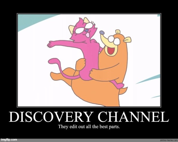 Research | made w/ Imgflip meme maker