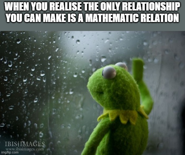 kermit window |  WHEN YOU REALISE THE ONLY RELATIONSHIP YOU CAN MAKE IS A MATHEMATIC RELATION | image tagged in kermit window | made w/ Imgflip meme maker
