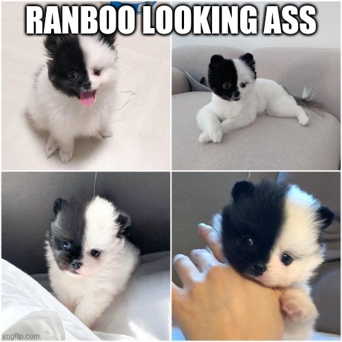 RANBOO LOOKING ASS | made w/ Imgflip meme maker