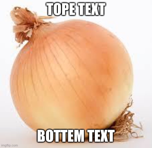 Onion | TOPE TEXT; BOTTEM TEXT | image tagged in onion | made w/ Imgflip meme maker