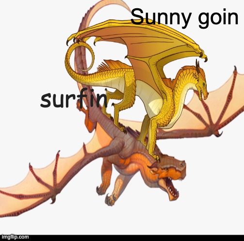 Sunny goin Surfin | Sunny goin; surfin | image tagged in funny memes | made w/ Imgflip meme maker