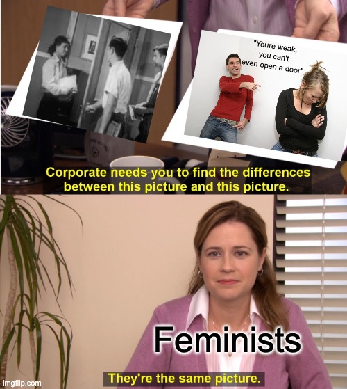 They're The Same Picture | "Youre weak, you can't even open a door"; Feminists | image tagged in memes,they're the same picture | made w/ Imgflip meme maker