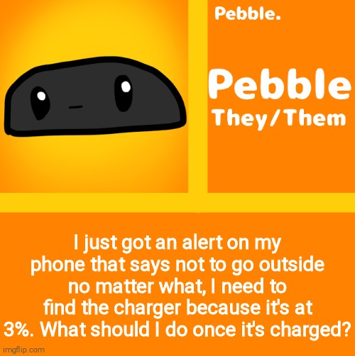 Pebble | I just got an alert on my phone that says not to go outside no matter what, I need to find the charger because it's at 3%. What should I do once it's charged? | image tagged in pebble | made w/ Imgflip meme maker