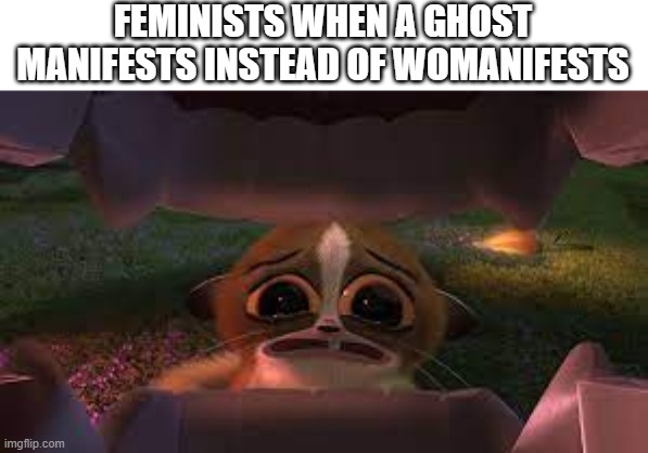 FEMINISTS WHEN A GHOST MANIFESTS INSTEAD OF WOMANIFESTS | image tagged in madagascar,feminist,triggered feminist,memes,joke | made w/ Imgflip meme maker