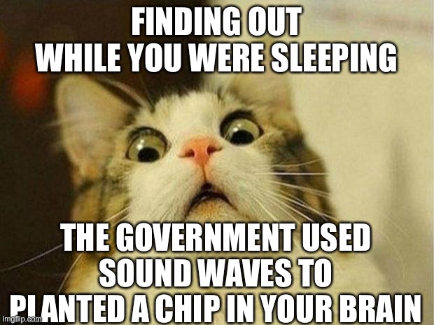 Finding Out While You Were Sleeping! | FINDING OUT WHILE YOU WERE SLEEPING; THE GOVERNMENT USED SOUND WAVES TO PLANTED A CHIP IN YOUR BRAIN | image tagged in memes,scared cat,government planted a chip in your brain,government control | made w/ Imgflip meme maker