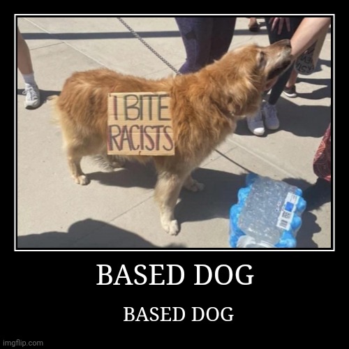 BASED DOG | image tagged in demotivationals,based dog | made w/ Imgflip demotivational maker