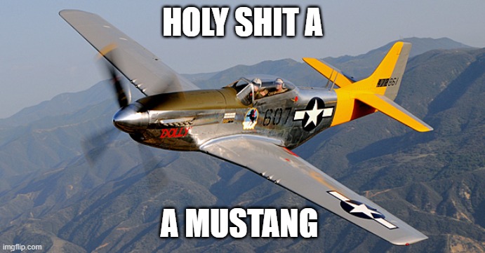 HOLY SHIT A; A MUSTANG | made w/ Imgflip meme maker