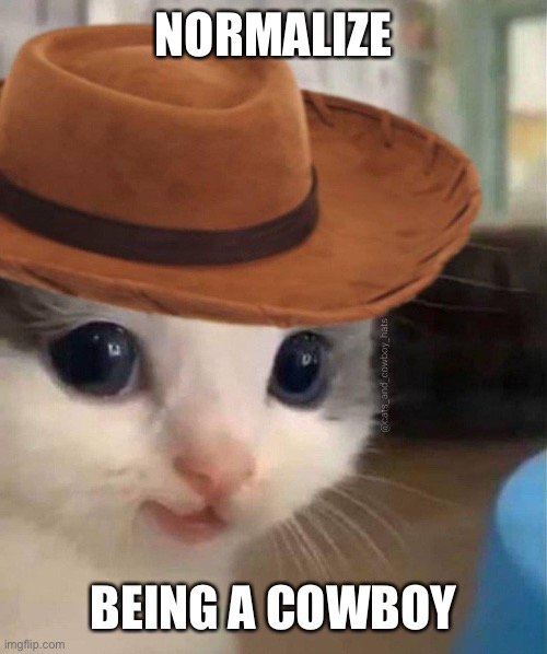 Normalize cowboys | NORMALIZE; BEING A COWBOY | image tagged in cowboy,cat,meme,normalize | made w/ Imgflip meme maker