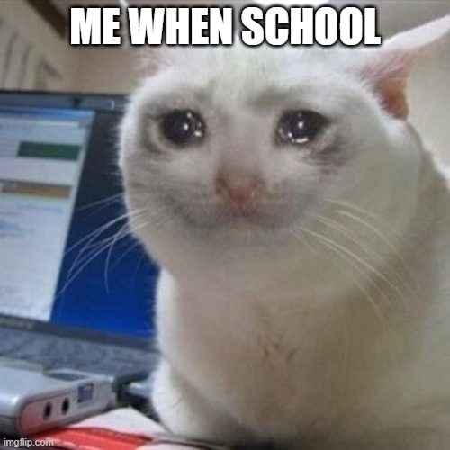 ;( | ME WHEN SCHOOL | image tagged in crying cat | made w/ Imgflip meme maker