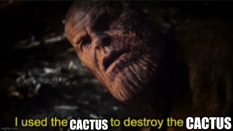 Thanos I used the stones to destroy the stones | CACTUS; CACTUS | image tagged in thanos i used the stones to destroy the stones | made w/ Imgflip meme maker