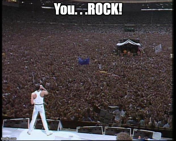 you rock this much | You. . .ROCK! | image tagged in you rock this much | made w/ Imgflip meme maker