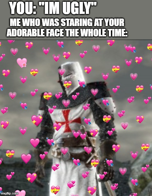 *happy crusader noises* | YOU: "IM UGLY"; ME WHO WAS STARING AT YOUR ADORABLE FACE THE WHOLE TIME: | image tagged in bruh crusader | made w/ Imgflip meme maker