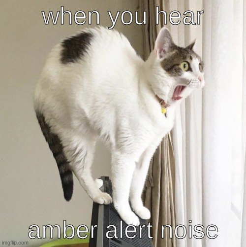 AAAAAAAAAAAAAmber alert | when you hear; amber alert noise | image tagged in what can i say except aaaaaaaaaaa | made w/ Imgflip meme maker