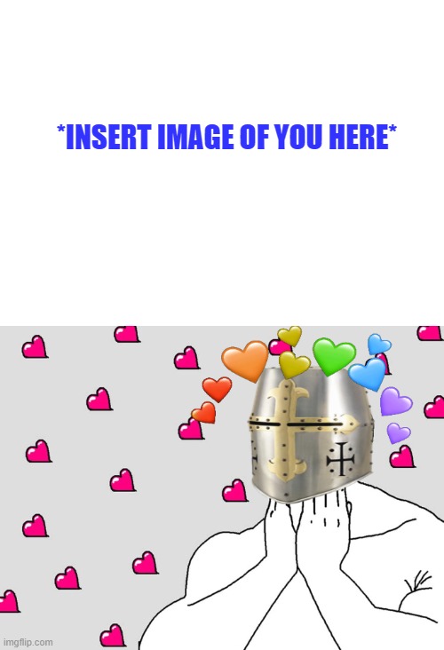 by the pope <3 | *INSERT IMAGE OF YOU HERE* | image tagged in wholesome crusader 4 | made w/ Imgflip meme maker