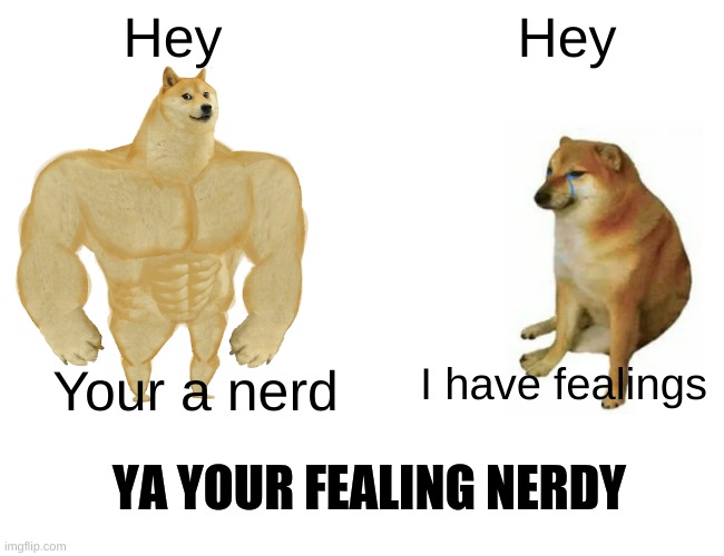 Nerd O clock | Hey; Hey; I have fealings; Your a nerd; YA YOUR FEALING NERDY | image tagged in memes,buff doge vs cheems | made w/ Imgflip meme maker