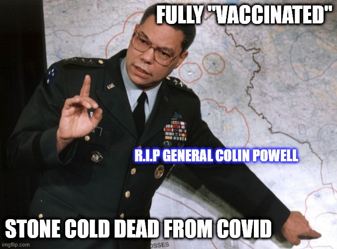 Stone Cold Vaccine | FULLY "VACCINATED"; R.I.P GENERAL COLIN POWELL; STONE COLD DEAD FROM COVID | image tagged in vaccine,covid,rip,made in china | made w/ Imgflip meme maker