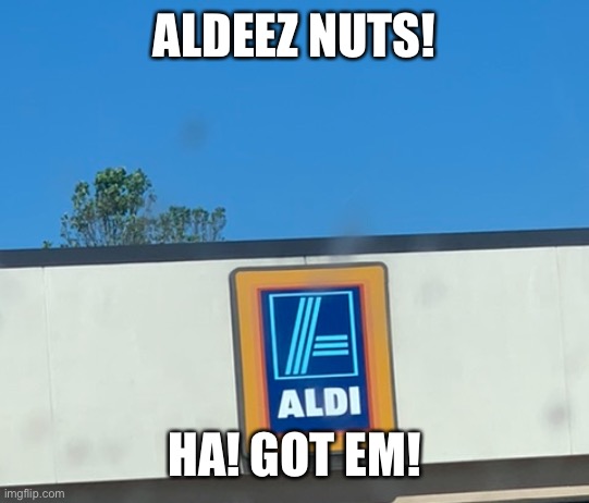 Aldeez nuts! Ha! Got ‘Em! | ALDEEZ NUTS! HA! GOT EM! | image tagged in aldeez nuts ha got em | made w/ Imgflip meme maker