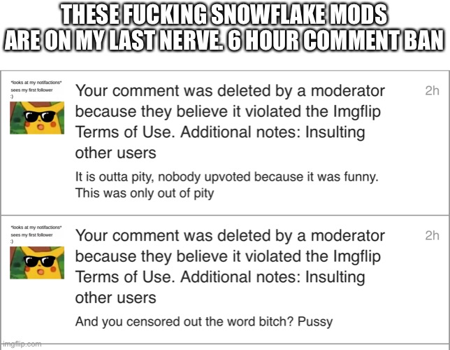 6. goddamn. Hours. | THESE FUCKING SNOWFLAKE MODS ARE ON MY LAST NERVE. 6 HOUR COMMENT BAN | made w/ Imgflip meme maker