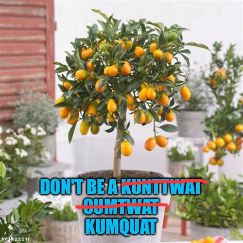 Kumquat | image tagged in stupid people | made w/ Imgflip meme maker